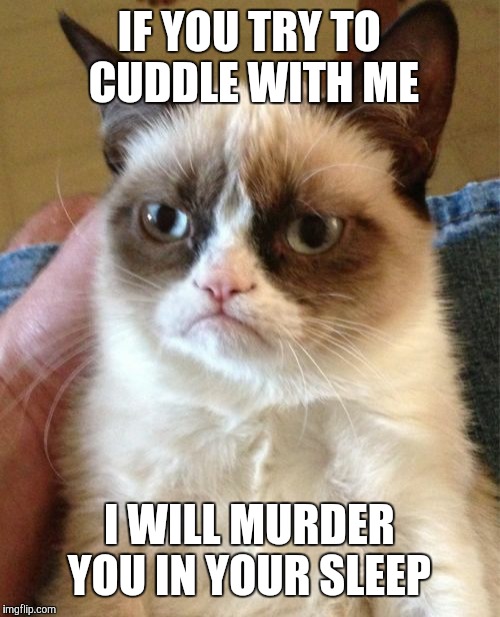 Grumpy Cat | IF YOU TRY TO CUDDLE WITH ME; I WILL MURDER YOU IN YOUR SLEEP | image tagged in memes,grumpy cat | made w/ Imgflip meme maker