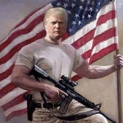 Donald Trump gun American flag
