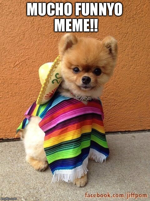 MUCHO FUNNYO MEME!! | made w/ Imgflip meme maker