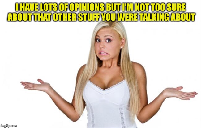 I HAVE LOTS OF OPINIONS BUT I'M NOT TOO SURE ABOUT THAT OTHER STUFF YOU WERE TALKING ABOUT | made w/ Imgflip meme maker