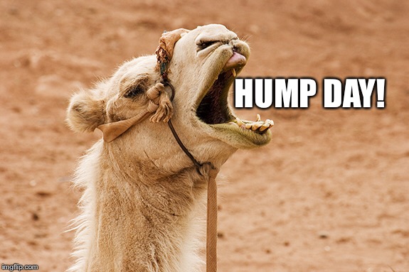 HUMP DAY! | made w/ Imgflip meme maker