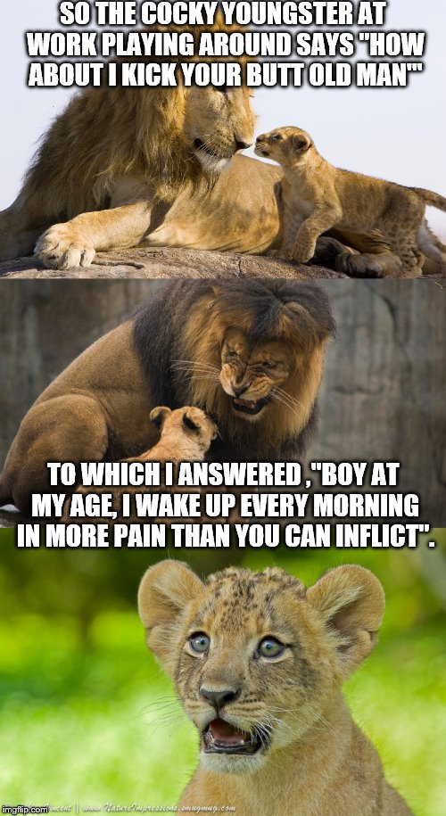 The lunch table got a pretty good laugh at out of that one :) | SO THE COCKY YOUNGSTER AT WORK PLAYING AROUND SAYS "HOW ABOUT I KICK YOUR BUTT OLD MAN"'; TO WHICH I ANSWERED ,"BOY AT MY AGE, I WAKE UP EVERY MORNING IN MORE PAIN THAN YOU CAN INFLICT". | image tagged in memes,lions,old vs young | made w/ Imgflip meme maker