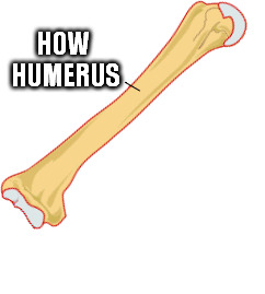 HOW HUMERUS | made w/ Imgflip meme maker