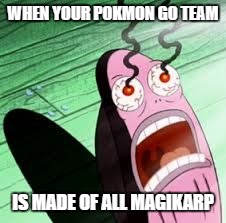 found out how to play pokemon go on computer | WHEN YOUR POKMON GO TEAM; IS MADE OF ALL MAGIKARP | image tagged in pokemon feet | made w/ Imgflip meme maker