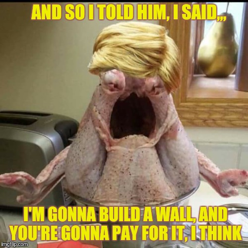 AND SO I TOLD HIM, I SAID,,, I'M GONNA BUILD A WALL, AND YOU'RE GONNA PAY FOR IT, I THINK | image tagged in trump | made w/ Imgflip meme maker