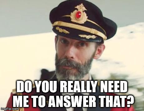 DO YOU REALLY NEED ME TO ANSWER THAT? | image tagged in captain obvious | made w/ Imgflip meme maker