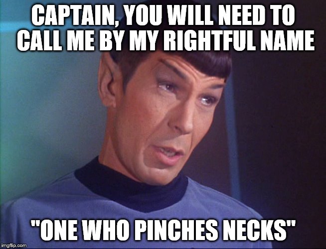 CAPTAIN, YOU WILL NEED TO CALL ME BY MY RIGHTFUL NAME "ONE WHO PINCHES NECKS" | made w/ Imgflip meme maker