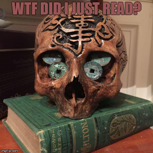 WTF DID I JUST READ? | image tagged in skull | made w/ Imgflip meme maker