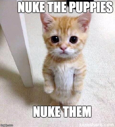 Save me | NUKE THE PUPPIES; NUKE THEM | image tagged in memes,cute cat | made w/ Imgflip meme maker