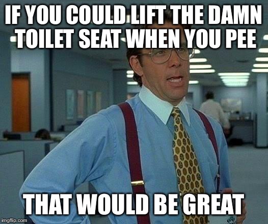 That Would Be Great | IF YOU COULD LIFT THE DAMN TOILET SEAT WHEN YOU PEE; THAT WOULD BE GREAT | image tagged in memes,that would be great | made w/ Imgflip meme maker