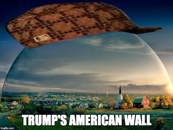 TRUMP'S AMERICAN WALL | image tagged in dome,scumbag | made w/ Imgflip meme maker