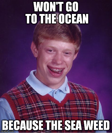 Bad Luck Brian Meme | WON'T GO TO THE OCEAN BECAUSE THE SEA WEED | image tagged in memes,bad luck brian | made w/ Imgflip meme maker