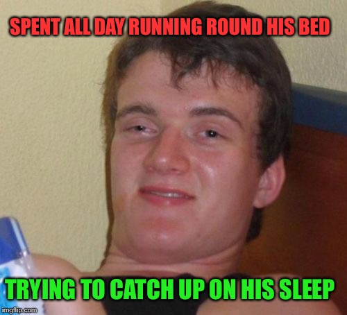 10 Guy Meme | SPENT ALL DAY RUNNING ROUND HIS BED; TRYING TO CATCH UP ON HIS SLEEP | image tagged in memes,10 guy | made w/ Imgflip meme maker