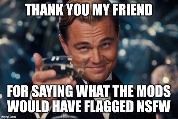 Leonardo Dicaprio Cheers Meme | THANK YOU MY FRIEND FOR SAYING WHAT THE MODS WOULD HAVE FLAGGED NSFW | image tagged in memes,leonardo dicaprio cheers | made w/ Imgflip meme maker