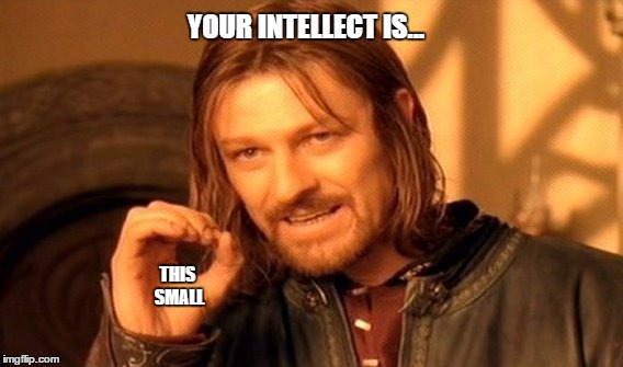 Not Smart At All | YOUR INTELLECT IS... THIS SMALL | image tagged in memes,one does not simply | made w/ Imgflip meme maker