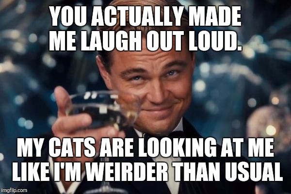Leonardo Dicaprio Cheers Meme | YOU ACTUALLY MADE ME LAUGH OUT LOUD. MY CATS ARE LOOKING AT ME LIKE I'M WEIRDER THAN USUAL | image tagged in memes,leonardo dicaprio cheers | made w/ Imgflip meme maker