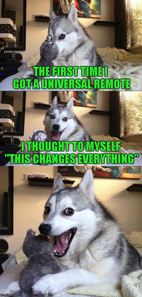 Bad Pun Dog Meme | THE FIRST TIME I GOT A UNIVERSAL REMOTE; I THOUGHT TO MYSELF "THIS CHANGES EVERYTHING" | image tagged in memes,bad pun dog | made w/ Imgflip meme maker