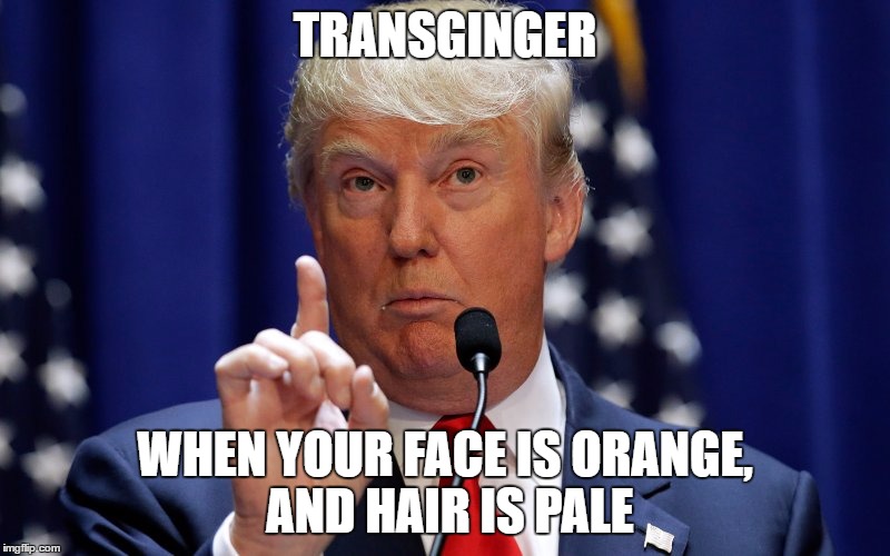 Donald Trump | TRANSGINGER; WHEN YOUR FACE IS ORANGE, AND HAIR IS PALE | image tagged in donald trump | made w/ Imgflip meme maker