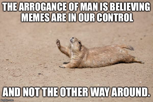 THE ARROGANCE OF MAN IS BELIEVING MEMES ARE IN OUR CONTROL; AND NOT THE OTHER WAY AROUND. | made w/ Imgflip meme maker