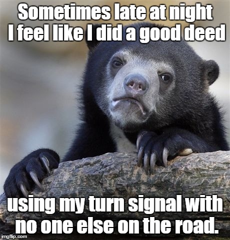 Confession Bear Meme | Sometimes late at night I feel like I did a good deed; using my turn signal with no one else on the road. | image tagged in memes,confession bear | made w/ Imgflip meme maker