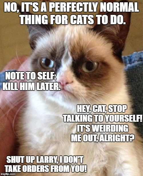 Grumpy Cat Meme | NO, IT'S A PERFECTLY NORMAL THING FOR CATS TO DO. SHUT UP LARRY, I DON'T TAKE ORDERS FROM YOU! NOTE TO SELF: KILL HIM LATER. HEY, CAT, STOP  | image tagged in memes,grumpy cat | made w/ Imgflip meme maker