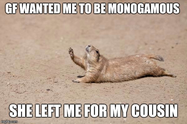 Desperately seeking help | GF WANTED ME TO BE MONOGAMOUS; SHE LEFT ME FOR MY COUSIN | image tagged in desperately seeking help,AdviceAnimals | made w/ Imgflip meme maker