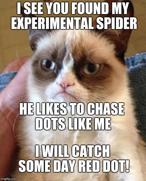 Grumpy Cat Meme | I SEE YOU FOUND MY EXPERIMENTAL SPIDER HE LIKES TO CHASE DOTS LIKE ME I WILL CATCH SOME DAY RED DOT! | image tagged in memes,grumpy cat | made w/ Imgflip meme maker