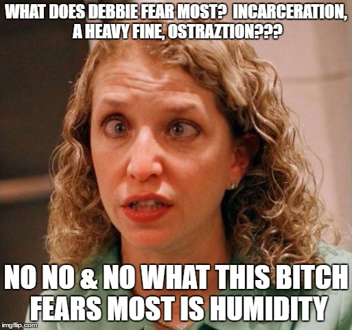 Debbie Wasserman Schultz | WHAT DOES DEBBIE FEAR MOST?  INCARCERATION, A HEAVY FINE, OSTRAZTION??? NO NO & NO WHAT THIS BITCH FEARS MOST IS HUMIDITY | image tagged in debbie wasserman schultz | made w/ Imgflip meme maker