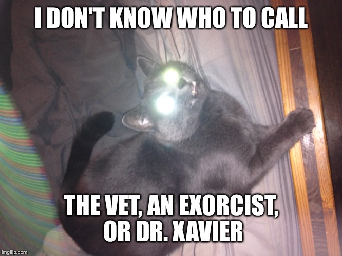 I DON'T KNOW WHO TO CALL; THE VET, AN EXORCIST, OR DR. XAVIER | image tagged in x-men | made w/ Imgflip meme maker