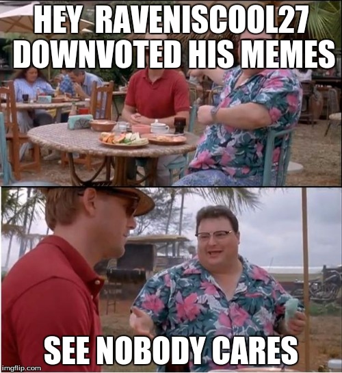 See Nobody Cares Meme | HEY  RAVENISCOOL27 DOWNVOTED HIS MEMES; SEE NOBODY CARES | image tagged in memes,see nobody cares | made w/ Imgflip meme maker