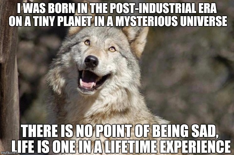 Optimistic Moon Moon Wolf Vanadium Wolf | I WAS BORN IN THE POST-INDUSTRIAL ERA ON A TINY PLANET IN A MYSTERIOUS UNIVERSE; THERE IS NO POINT OF BEING SAD, LIFE IS ONE IN A LIFETIME EXPERIENCE | image tagged in optimistic moon moon wolf vanadium wolf | made w/ Imgflip meme maker