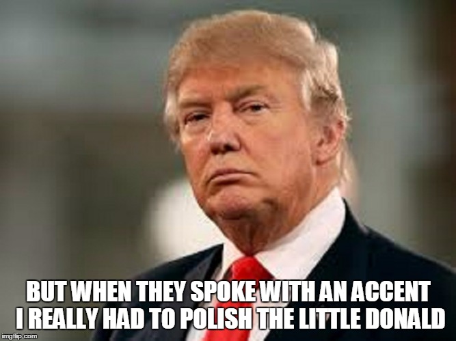 BUT WHEN THEY SPOKE WITH AN ACCENT I REALLY HAD TO POLISH THE LITTLE DONALD | made w/ Imgflip meme maker