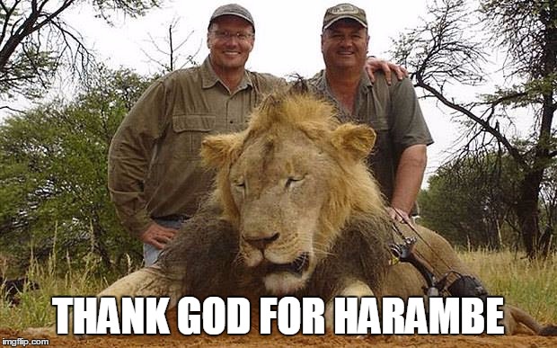 Walter Palmer  | THANK GOD FOR HARAMBE | image tagged in walter palmer,dicksoutforharambe | made w/ Imgflip meme maker