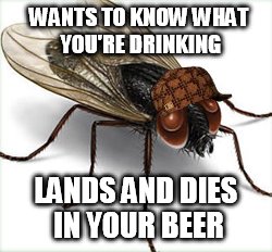 Scumbag Fly | WANTS TO KNOW WHAT YOU'RE DRINKING; LANDS AND DIES IN YOUR BEER | image tagged in scumbag fly,memes | made w/ Imgflip meme maker