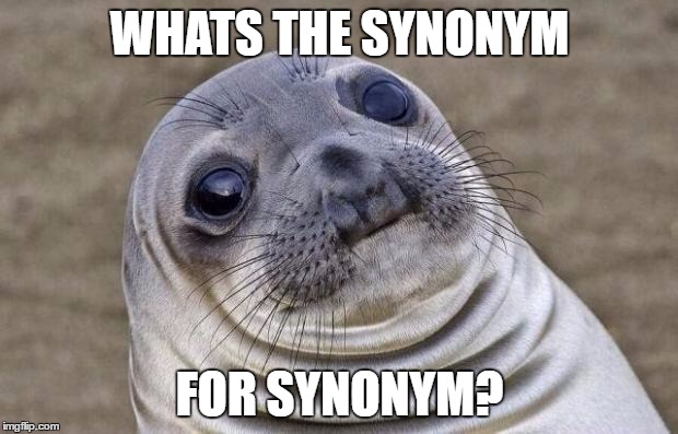 Awkward Moment Sealion Meme | WHATS THE SYNONYM FOR SYNONYM? | image tagged in memes,awkward moment sealion | made w/ Imgflip meme maker