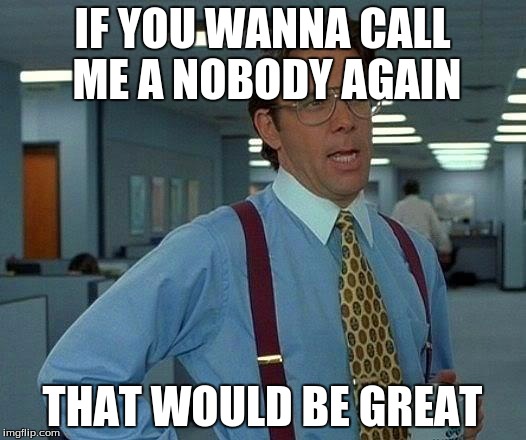 That Would Be Great Meme | IF YOU WANNA CALL ME A NOBODY AGAIN; THAT WOULD BE GREAT | image tagged in memes,that would be great | made w/ Imgflip meme maker