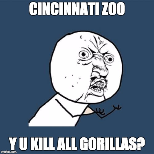 Dicks out! | CINCINNATI ZOO; Y U KILL ALL GORILLAS? | image tagged in memes,y u no,gorilla,harambe | made w/ Imgflip meme maker