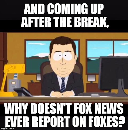 Yeah! Why not?! | AND COMING UP AFTER THE BREAK, WHY DOESN'T FOX NEWS EVER REPORT ON FOXES? | image tagged in news anchor,fox news | made w/ Imgflip meme maker