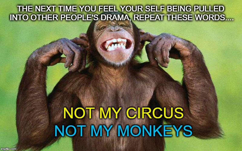  THE NEXT TIME YOU FEEL YOUR SELF BEING PULLED INTO OTHER PEOPLE'S DRAMA, REPEAT THESE WORDS.... NOT MY CIRCUS; NOT MY MONKEYS | image tagged in not my circus,not my monkeys,drama | made w/ Imgflip meme maker
