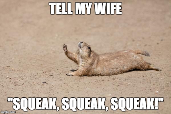 Gopher? | TELL MY WIFE; "SQUEAK, SQUEAK, SQUEAK!" | image tagged in gopher | made w/ Imgflip meme maker