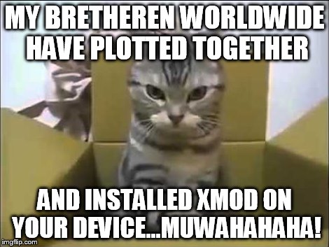 MY BRETHEREN WORLDWIDE HAVE PLOTTED TOGETHER; AND INSTALLED XMOD ON YOUR DEVICE...MUWAHAHAHA! | made w/ Imgflip meme maker