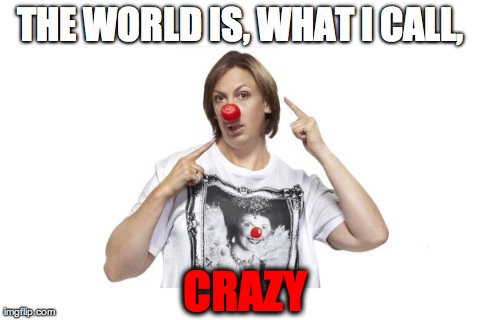 THE WORLD IS, WHAT I CALL, CRAZY | image tagged in miranda hart | made w/ Imgflip meme maker