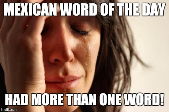 First World Problems Meme | MEXICAN WORD OF THE DAY HAD MORE THAN ONE WORD! | image tagged in memes,first world problems | made w/ Imgflip meme maker