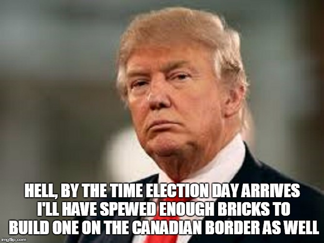 HELL, BY THE TIME ELECTION DAY ARRIVES I'LL HAVE SPEWED ENOUGH BRICKS TO BUILD ONE ON THE CANADIAN BORDER AS WELL | made w/ Imgflip meme maker