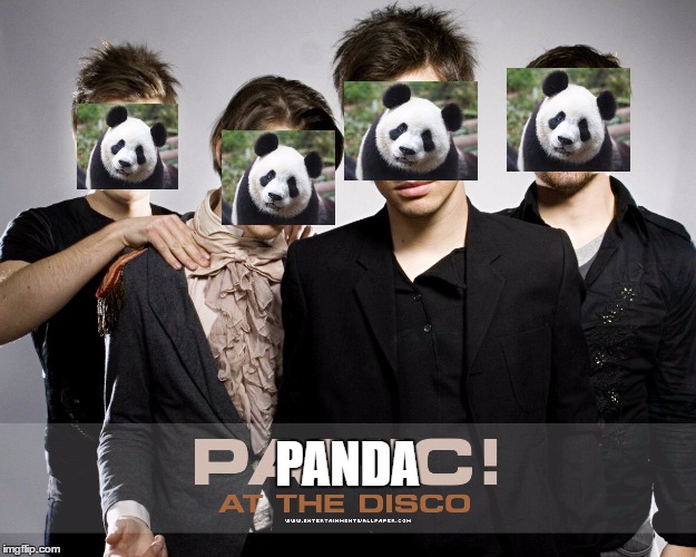 PANDA AT THE DISCO | PANDA | image tagged in panic at the disco,panic,panda,brendon urie | made w/ Imgflip meme maker