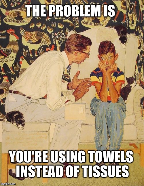 Puberty, you're doing it wrong | THE PROBLEM IS; YOU'RE USING TOWELS INSTEAD OF TISSUES | image tagged in memes,the probelm is | made w/ Imgflip meme maker