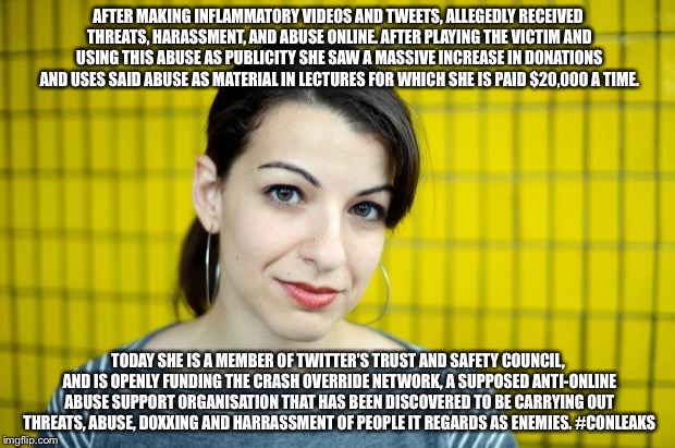 Anita Sarkeesian | AFTER MAKING INFLAMMATORY VIDEOS AND TWEETS, ALLEGEDLY RECEIVED THREATS, HARASSMENT, AND ABUSE ONLINE. AFTER PLAYING THE VICTIM AND USING THIS ABUSE AS PUBLICITY SHE SAW A MASSIVE INCREASE IN DONATIONS AND USES SAID ABUSE AS MATERIAL IN LECTURES FOR WHICH SHE IS PAID $20,000 A TIME. TODAY SHE IS A MEMBER OF TWITTER'S TRUST AND SAFETY COUNCIL, AND IS OPENLY FUNDING THE CRASH OVERRIDE NETWORK, A SUPPOSED ANTI-ONLINE ABUSE SUPPORT ORGANISATION THAT HAS BEEN DISCOVERED TO BE CARRYING OUT THREATS, ABUSE, DOXXING AND HARRASSMENT OF PEOPLE IT REGARDS AS ENEMIES. #CONLEAKS | image tagged in anita sarkeesian | made w/ Imgflip meme maker