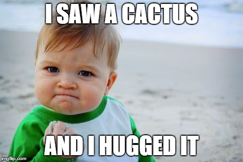 Success Kid Original | I SAW A CACTUS; AND I HUGGED IT | image tagged in memes,success kid original | made w/ Imgflip meme maker