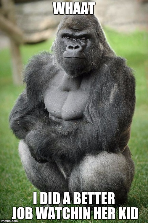 gorilla vegan | WHAAT; I DID A BETTER JOB WATCHIN HER KID | image tagged in gorilla vegan | made w/ Imgflip meme maker