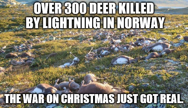dead deer | OVER 300 DEER KILLED BY LIGHTNING IN NORWAY; THE WAR ON CHRISTMAS JUST GOT REAL. | image tagged in dead deer | made w/ Imgflip meme maker